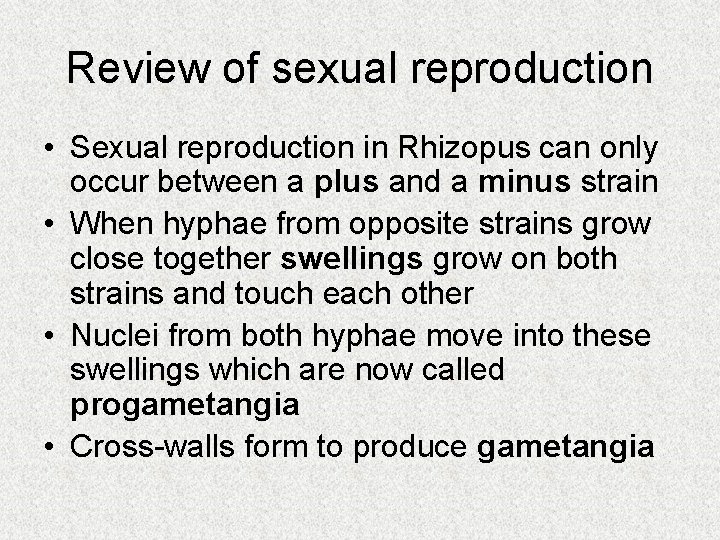 Review of sexual reproduction • Sexual reproduction in Rhizopus can only occur between a Review of sexual reproduction • Sexual reproduction in Rhizopus can only occur between a