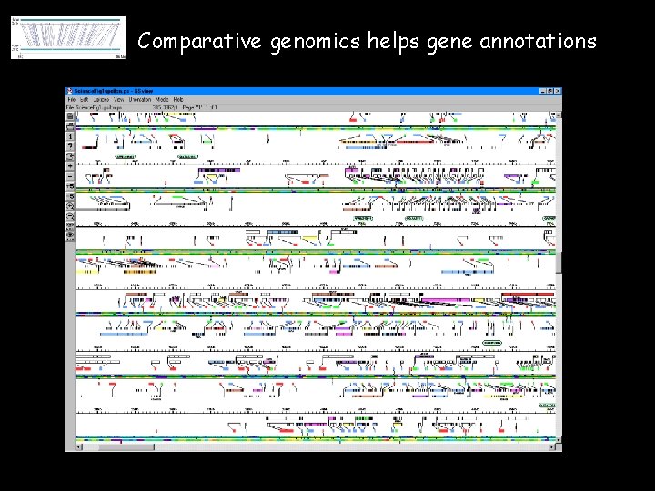 Comparative genomics helps gene annotations 