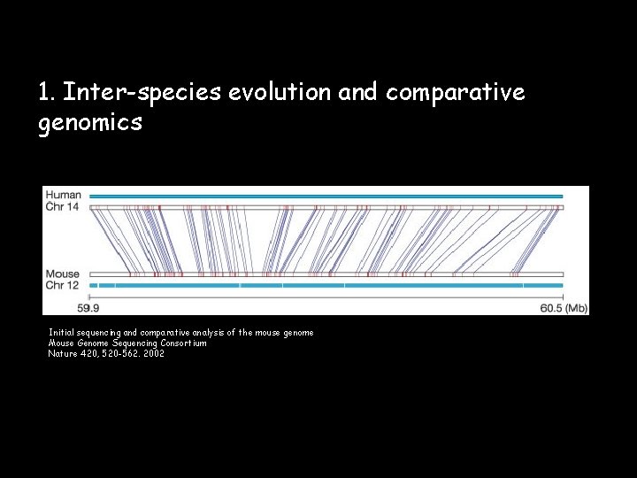 1. Inter-species evolution and comparative genomics Initial sequencing and comparative analysis of the mouse