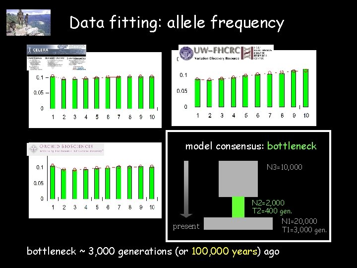 Data fitting: allele frequency model consensus: bottleneck N 3=10, 000 present N 2=2, 000