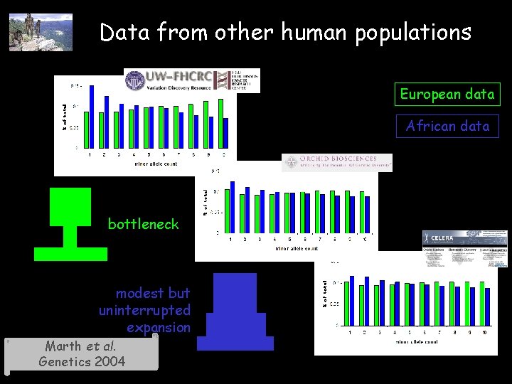 Data from other human populations European data African data bottleneck modest but uninterrupted expansion