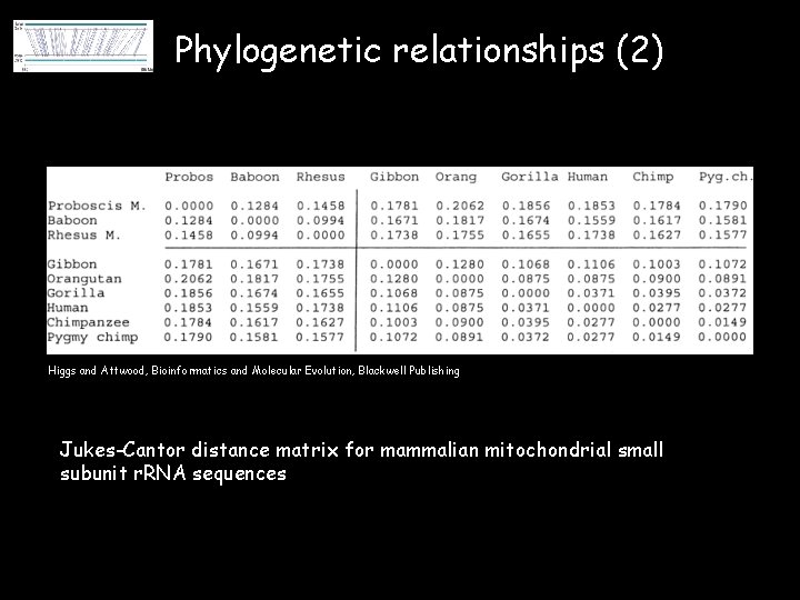 Phylogenetic relationships (2) Higgs and Attwood, Bioinformatics and Molecular Evolution, Blackwell Publishing Jukes-Cantor distance