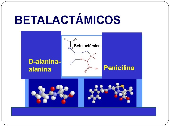 BETALACTÁMICOS Betalactámico D-alanina Penicilina 