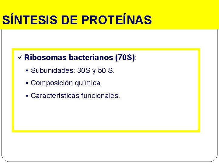 SÍNTESIS DE PROTEÍNAS ü Ribosomas bacterianos (70 S): § Subunidades: 30 S y 50