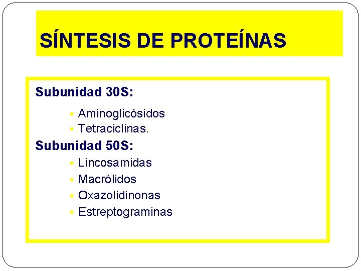 SÍNTESIS DE PROTEÍNAS Subunidad 30 S: § § Aminoglicósidos Tetraciclinas. Subunidad 50 S: Lincosamidas