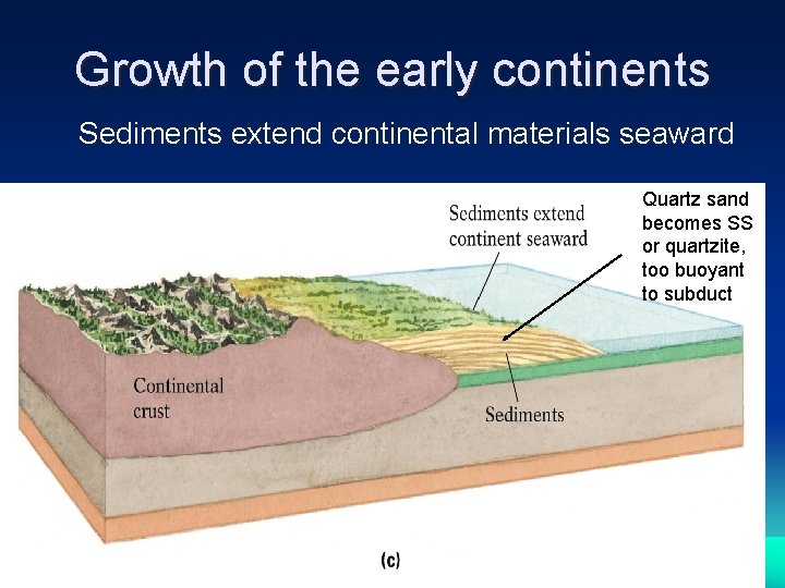 Growth of the early continents Sediments extend continental materials seaward Quartz sand becomes SS
