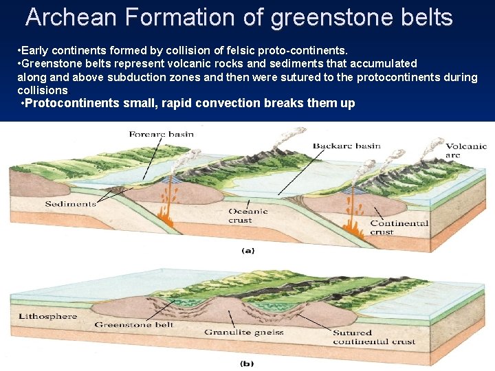 Archean Formation of greenstone belts • Early continents formed by collision of felsic proto-continents.
