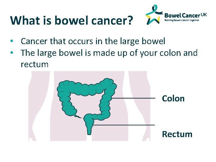 What is bowel cancer? • Cancer that occurs in the large bowel • The