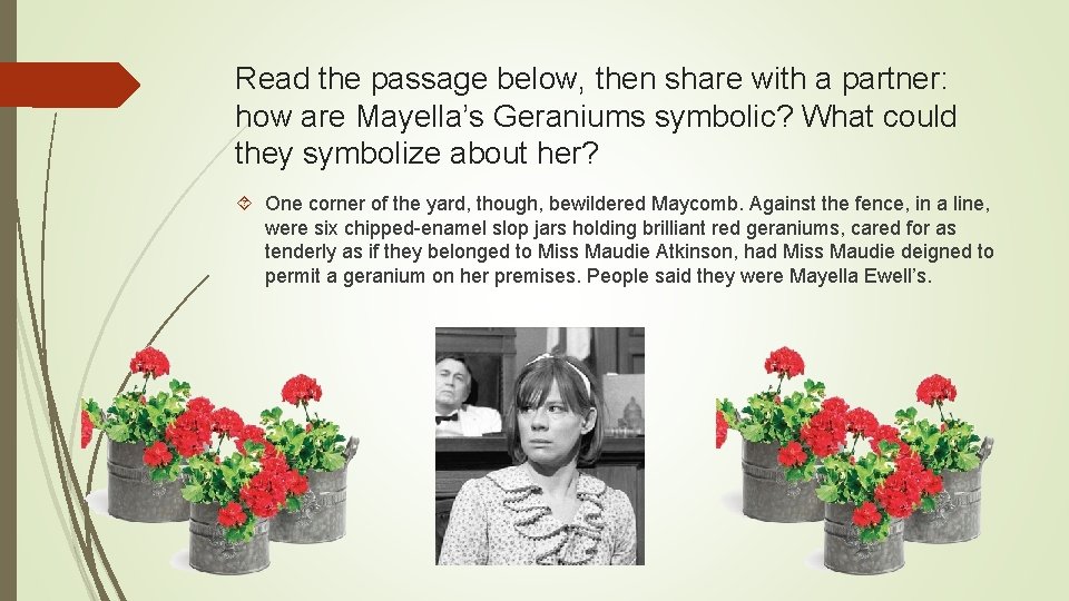 Read the passage below, then share with a partner: how are Mayella’s Geraniums symbolic?