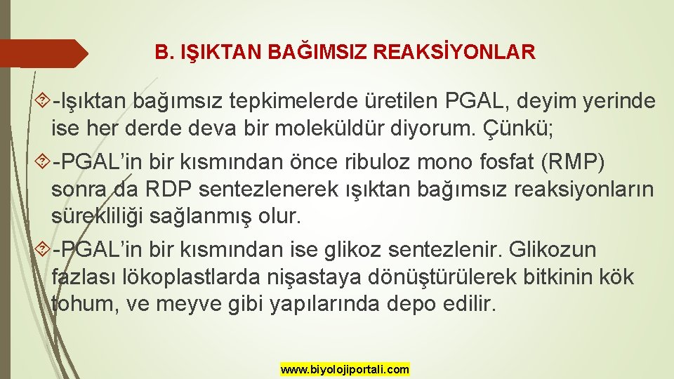 B. IŞIKTAN BAĞIMSIZ REAKSİYONLAR -Işıktan bağımsız tepkimelerde üretilen PGAL, deyim yerinde ise her derde