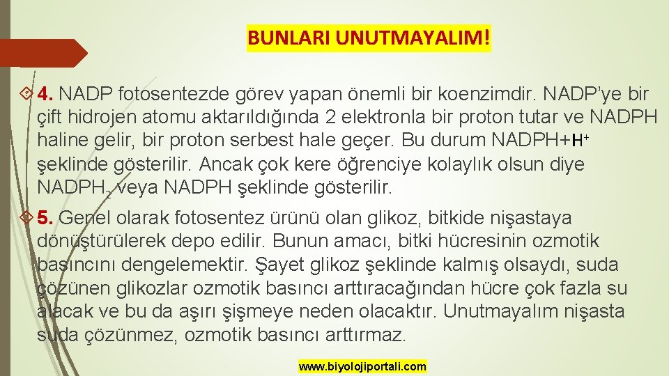 BUNLARI UNUTMAYALIM! 4. NADP fotosentezde görev yapan önemli bir koenzimdir. NADP’ye bir çift hidrojen