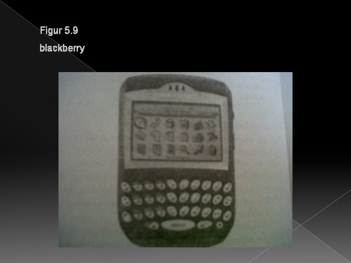Figur 5. 9 blackberry 
