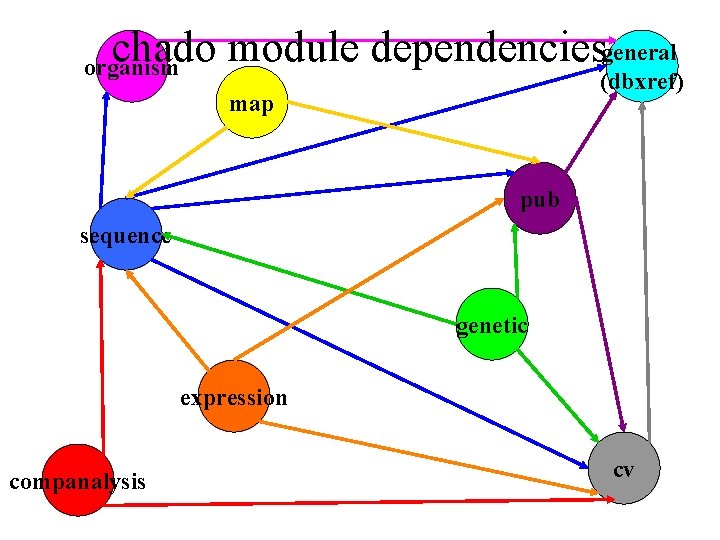 chado module dependenciesgeneral organism (dbxref) map pub sequence genetic expression companalysis cv 