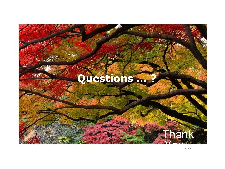 Questions … ? Thank You… 