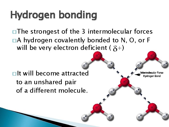 Hydrogen bonding � The strongest of the 3 intermolecular forces � A hydrogen covalently