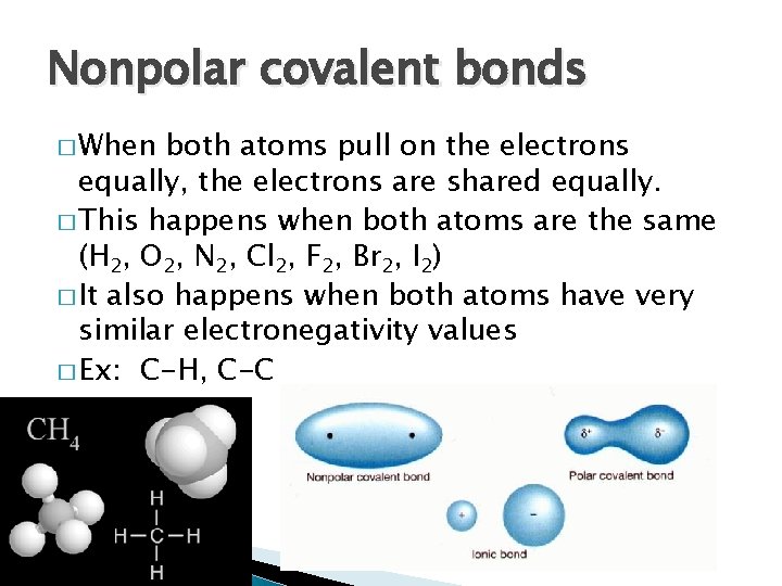 Nonpolar covalent bonds � When both atoms pull on the electrons equally, the electrons