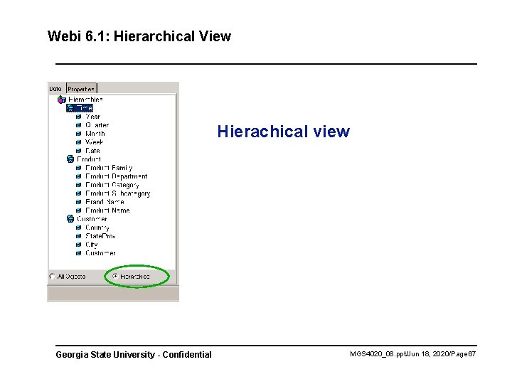 Webi 6. 1: Hierarchical View Hierachical view Georgia State University - Confidential MGS 4020_08.