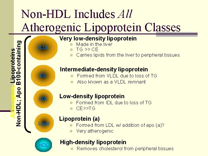 Atherogenic Lipoproteins Non-HDL; Apo B 100 -containing Non-HDL Includes All Atherogenic Lipoprotein Classes Very