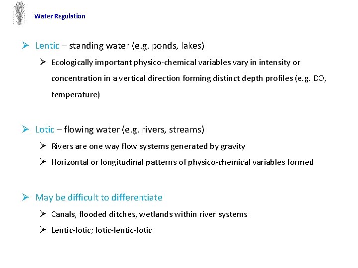 Water Regulation Ø Lentic – standing water (e. g. ponds, lakes) Ø Ecologically important