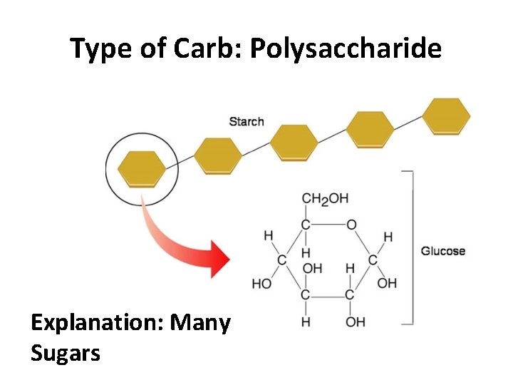 Type of Carb: Polysaccharide Explanation: Many Sugars 