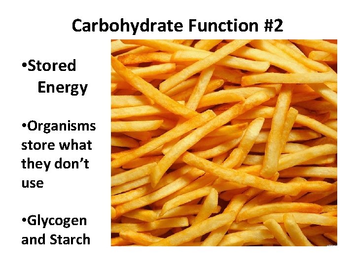Carbohydrate Function #2 • Stored Energy • Organisms store what they don’t use •