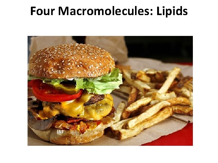 Four Macromolecules: Lipids 