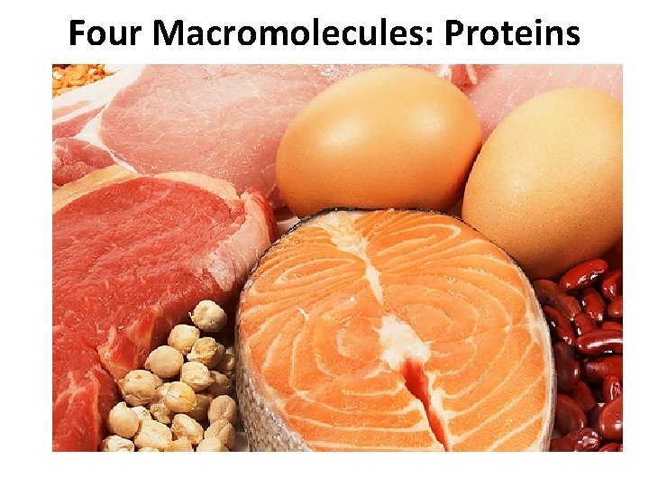 Four Macromolecules: Proteins 