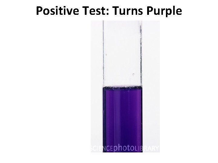 Positive Test: Turns Purple 