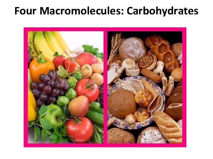 Four Macromolecules: Carbohydrates 