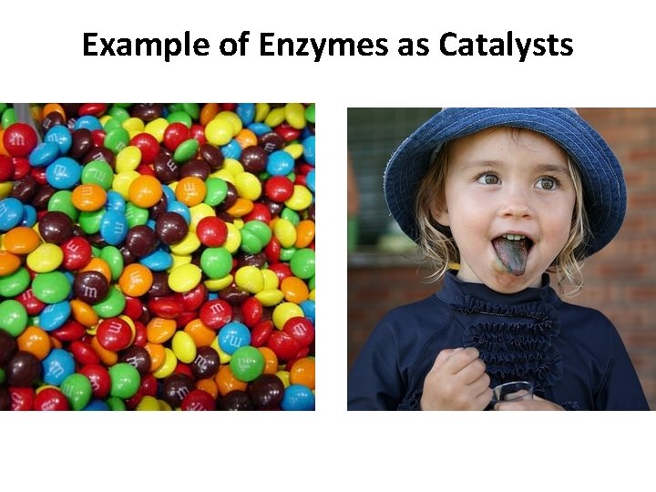 Example of Enzymes as Catalysts 