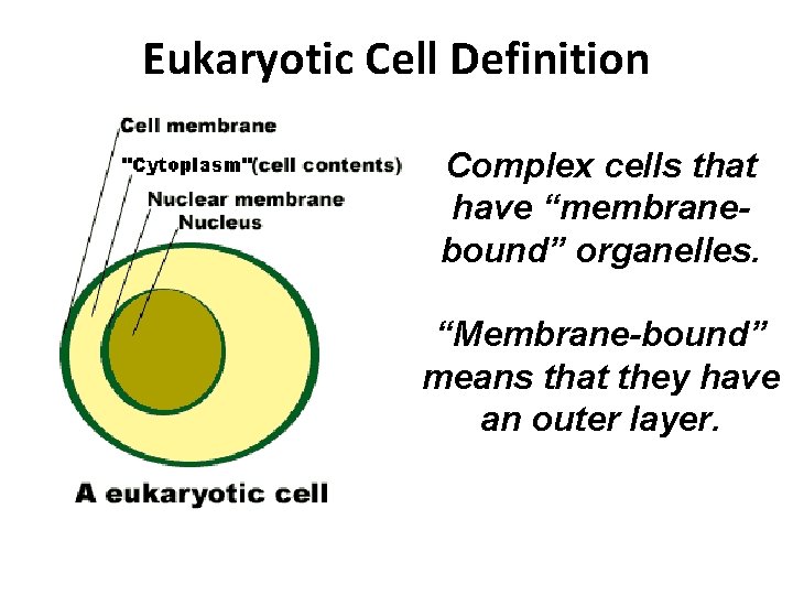 Eukaryotic Cell Definition Complex cells that have “membranebound” organelles. “Membrane-bound” means that they have