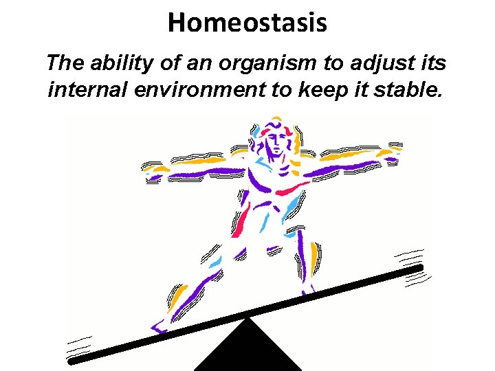Homeostasis The ability of an organism to adjust its internal environment to keep it