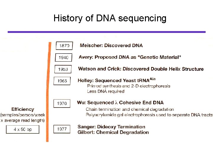 History of DNA sequencing 