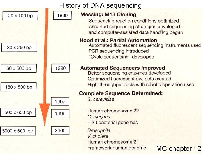 History of DNA sequencing MC chapter 12 