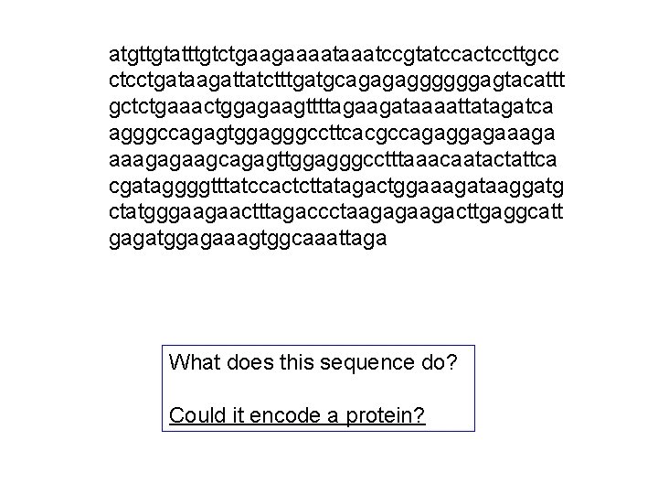 atgttgtatttgtctgaagaaaatccgtatccactccttgcc ctcctgataagattatctttgatgcagagaggggggagtacattt gctctgaaactggagaagttttagaagataaaattatagatca agggccagagtggagggccttcacgccagaggagaaagagaagcagagttggagggcctttaaacaatactattca cgataggggtttatccactcttatagactggaaagataaggatg ctatgggaagaactttagaccctaagagaagacttgaggcatt gagatggagaaagtggcaaattaga What does this sequence do? Could it