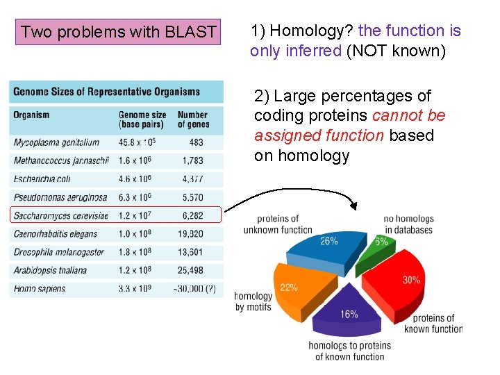 Two problems with BLAST 1) Homology? the function is only inferred (NOT known) 2)