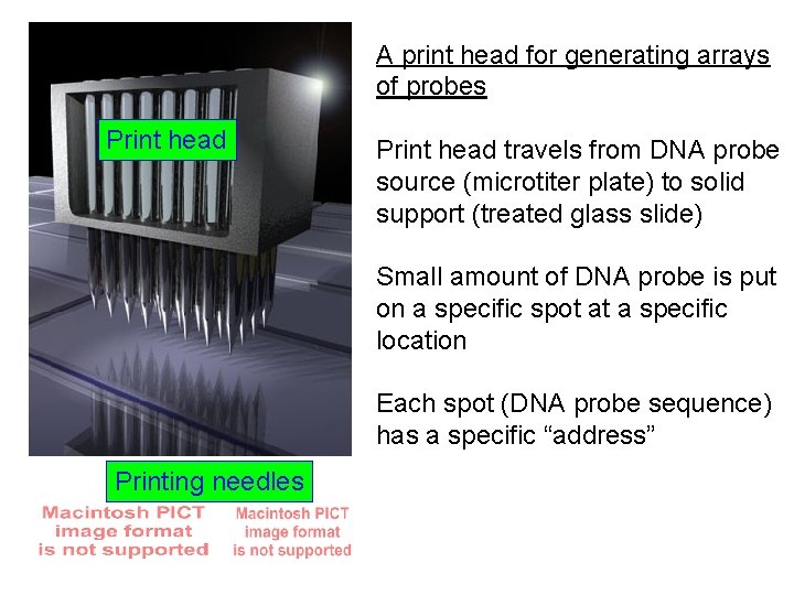 A print head for generating arrays of probes Print head travels from DNA probe