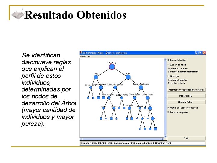 Resultado Obtenidos Se identifican diecinueve reglas que explican el perfil de estos individuos, determinadas