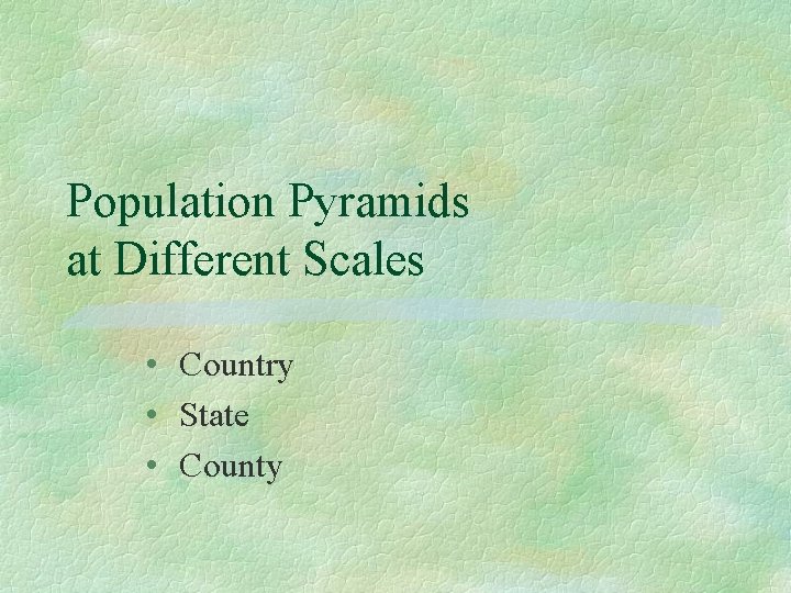 Population Pyramids at Different Scales • Country • State • County 