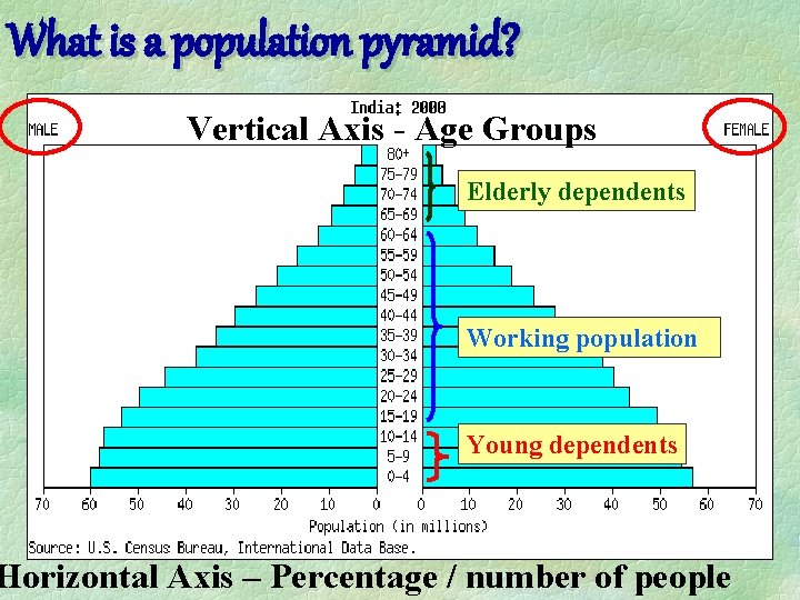 What is a population pyramid? Vertical Axis - Age Groups Elderly dependents Working population