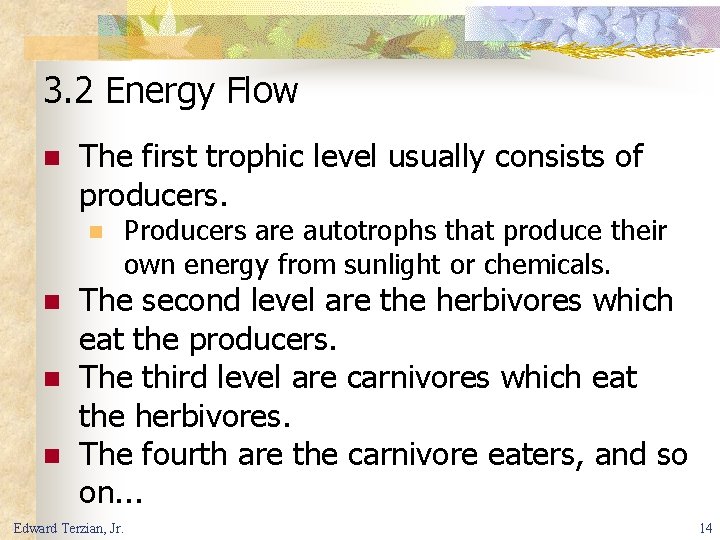 3. 2 Energy Flow n The first trophic level usually consists of producers. n