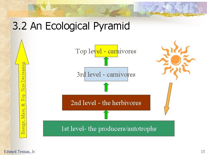 3. 2 An Ecological Pyramid Energy, Mass, & Pop. Size Decreasing Top level -