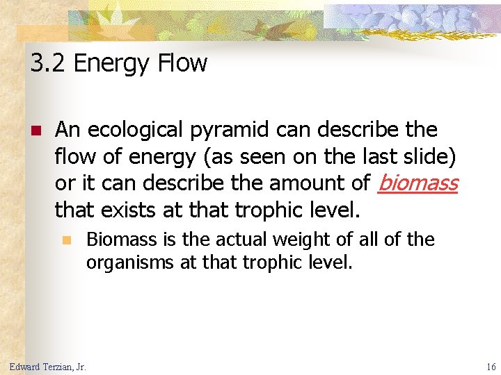 3. 2 Energy Flow n An ecological pyramid can describe the flow of energy