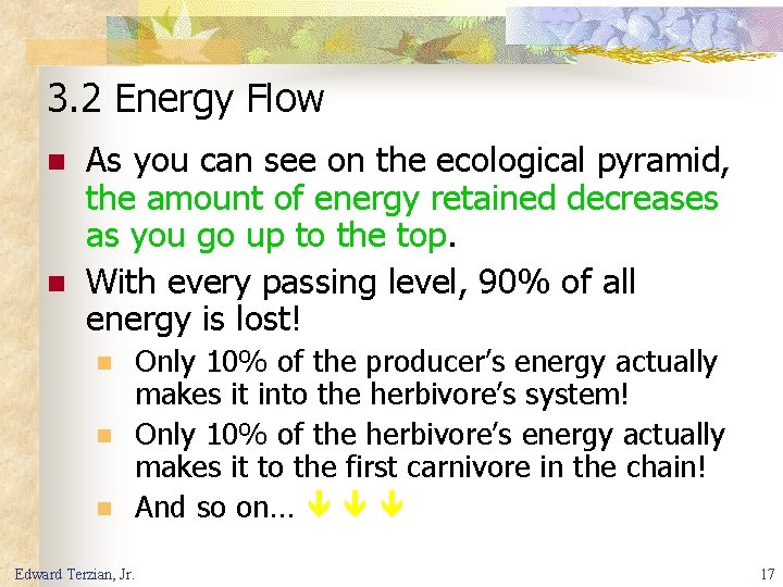 3. 2 Energy Flow n n As you can see on the ecological pyramid,