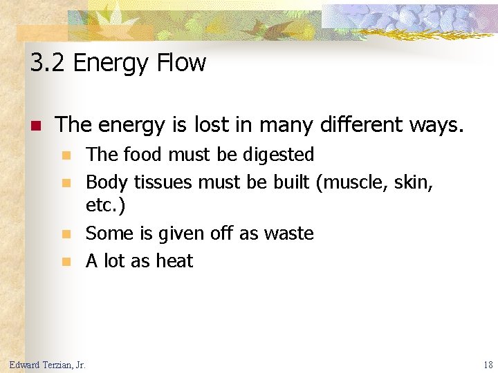 3. 2 Energy Flow n The energy is lost in many different ways. n