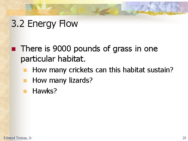 3. 2 Energy Flow n There is 9000 pounds of grass in one particular