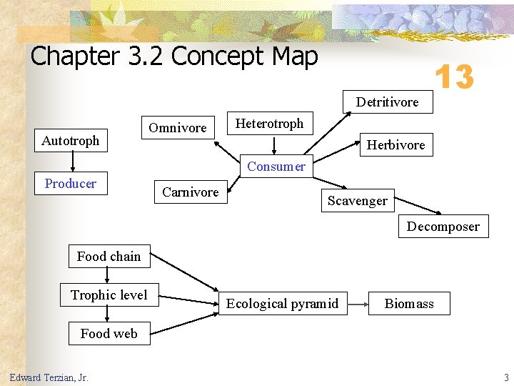 Chapter 3. 2 Concept Map Detritivore Autotroph Omnivore 13 Heterotroph Herbivore Consumer Producer Carnivore