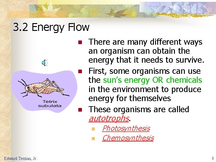 3. 2 Energy Flow n n n There are many different ways an organism