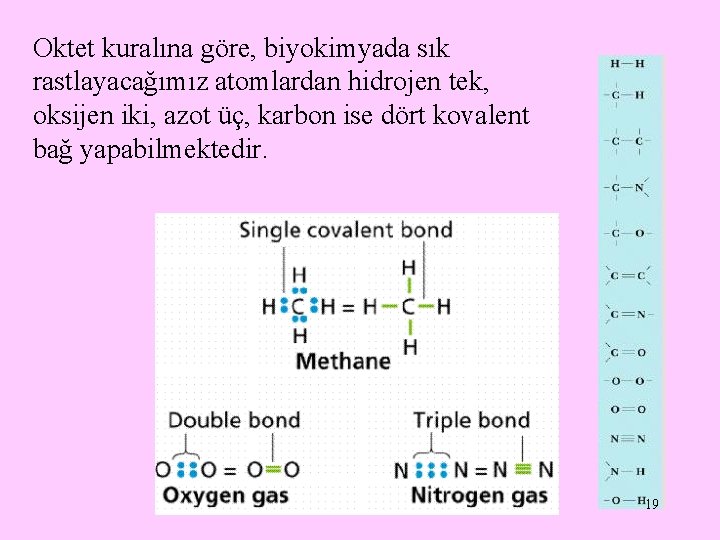 Oktet kuralına göre, biyokimyada sık rastlayacağımız atomlardan hidrojen tek, oksijen iki, azot üç, karbon