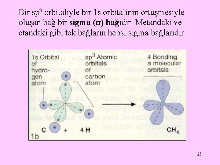 Bir sp 3 orbitaliyle bir 1 s orbitalinin örtüşmesiyle oluşan bağ bir sigma (